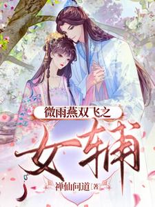 微雨燕双飞一共多少集