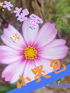 大将军的小富婆漫画免费下拉式
